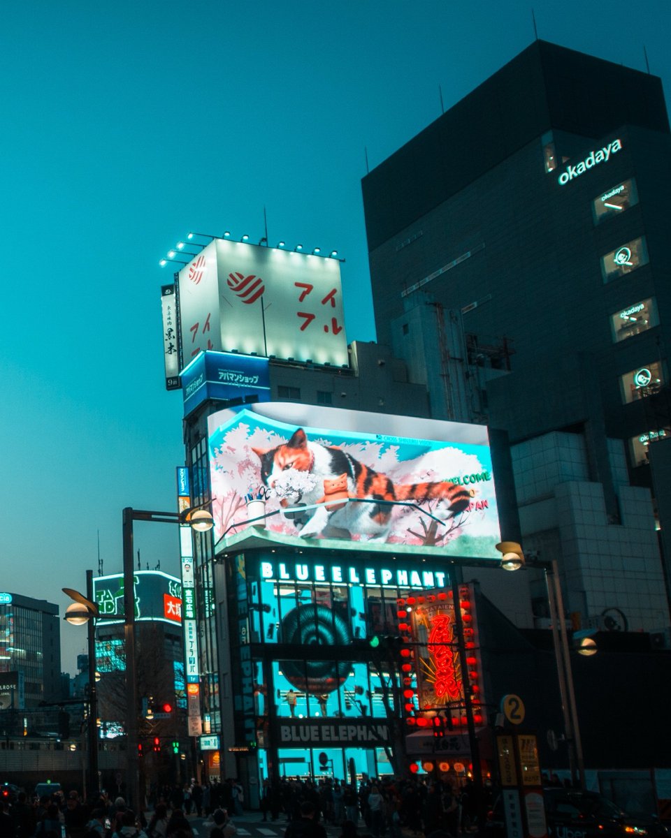 NobukoGillet's tweet photo. Neon lights, endless crowds, and a city that never slows down. No exclusive access or expensive gear—just a camera, a walk through Tokyo, and an eye for moments hidden in the chaos. That’s SeatSide Studio. Tokyo, Japan. https://t.co/NZUOtspLAQ