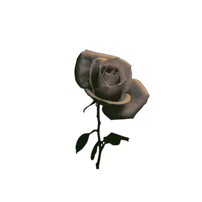 traumaisms's tweet photo. https://t.co/DyIcvfETH3