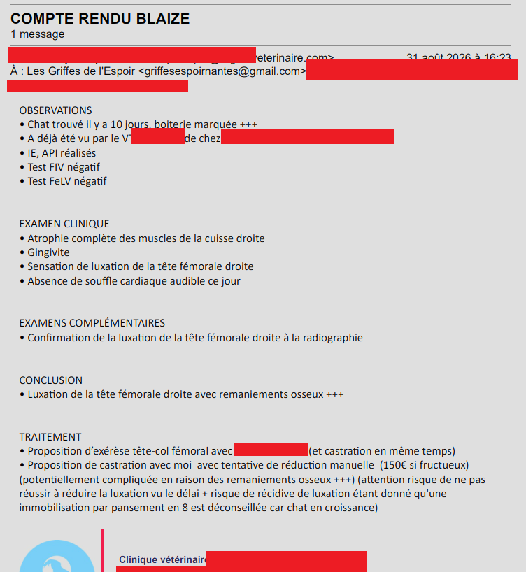 geo_bzh44's tweet photo. L'asso "Les Griffes de l'Espoir" a besoin de vous 👋

Blaize est un chaton que nous avons recueilli dans l'association il y a un peu plus d'une semaine. Son cas ne nous a pas laissé indifférent.

Il a malheureusement eu un accident, probablement un choc avec une voiture, on ne le saura jamais.

Ce que l'on sait, c'est que c'est un chaton plein de vie et nous allons tout faire pour lui permettre de la vivre dans les meilleures conditions. Mais pour ça nous allons devoir l'opérer de la hanche pour réduire et corriger sa fracture comme nous l'avions fait avec Akazam il y a un peu plus d'un an. 

Certains pourraient dire "il faut l'euthanasier" et malgré la dureté des mots, je comprends mais ce n'est pas la politique de l'association. Nous ne faisons pas d'euthanasie "de confort" qui est un acte de dernière solution des cas les plus désespérés. Ce qui n'est pas le cas de Blaize ❤️

Et pour ça nous avons besoin d'aide pour mener son opération à bien, nous faisons donc un appel aux dons pour Blaize, afin que cela ne pénalise pas trop les autres chat de l'association ⤵️

(Si vous ne pouvez pas donner, partagez, c'est le meilleur moyen d'aider Blaize 🫶)