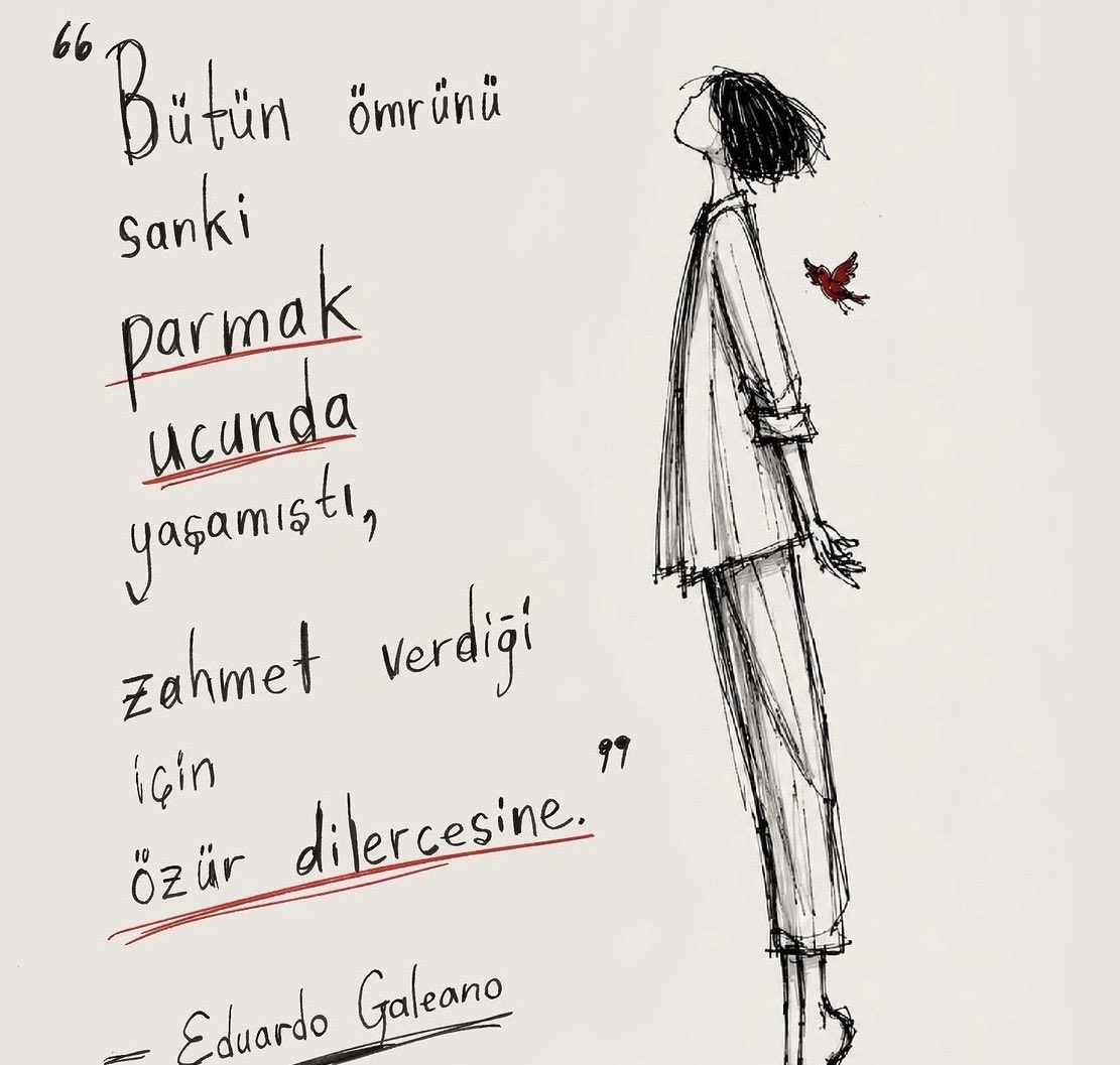 serapmatyas's tweet photo. black swan 🦚 https://t.co/6NLJLjPfp2