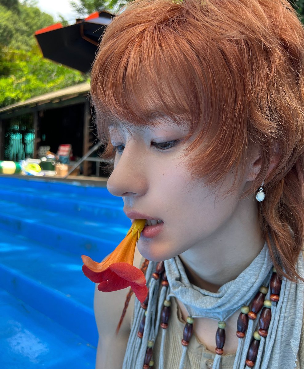 peachxrd's tweet photo. day mode                                                         night mode https://t.co/FGhl80vzQA