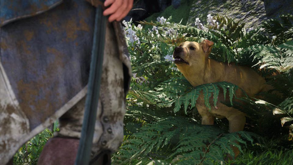 ACFirstCiv's tweet photo. You can now rescue the lonely stranded dog in Assassin’s Creed Black Flag Resynced.

Go to this location (624,50) &amp; pet the dog. Then return to the hideout and you’ll find the dog in Edward’s room at the Manor. You’ll also get 5 bones &amp; a letter explaining how he got there. https://t.co/PJYxzbdHjO