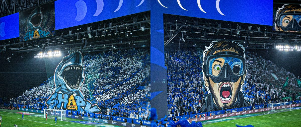 IIC4_2's tweet photo. دخلتم الأعماق.. وبلغتم منطقة الخطر☣️
SHARK ZONE.. لا مكان للنجاة 🦈🔵 https://t.co/Qbs2lPjb0V