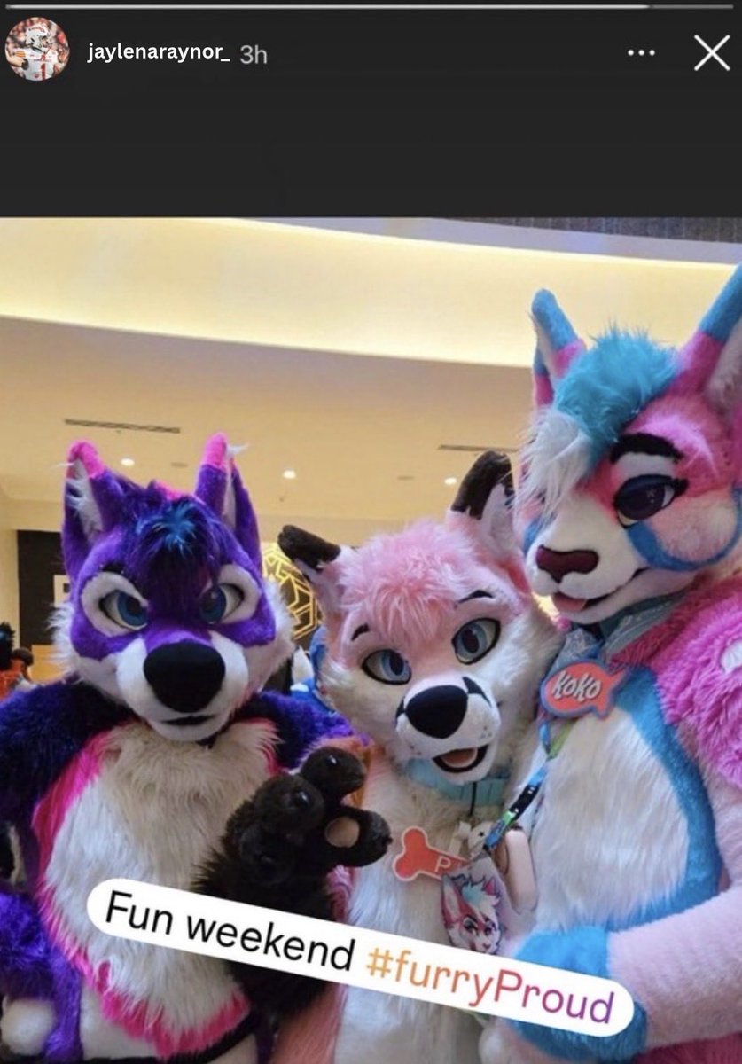 mrbootheel0's tweet photo. Iowa State starting quarterback, Jaylen Raynor, posted this on his Instagram story of him at a furry convention the Saturday before the Cyclones first football game. 

Sources say the locker room is OUT on Raynor before the season. 

The Cyclones play SEMO on Saturday. https://t.co/lN9t0Qh5Tn