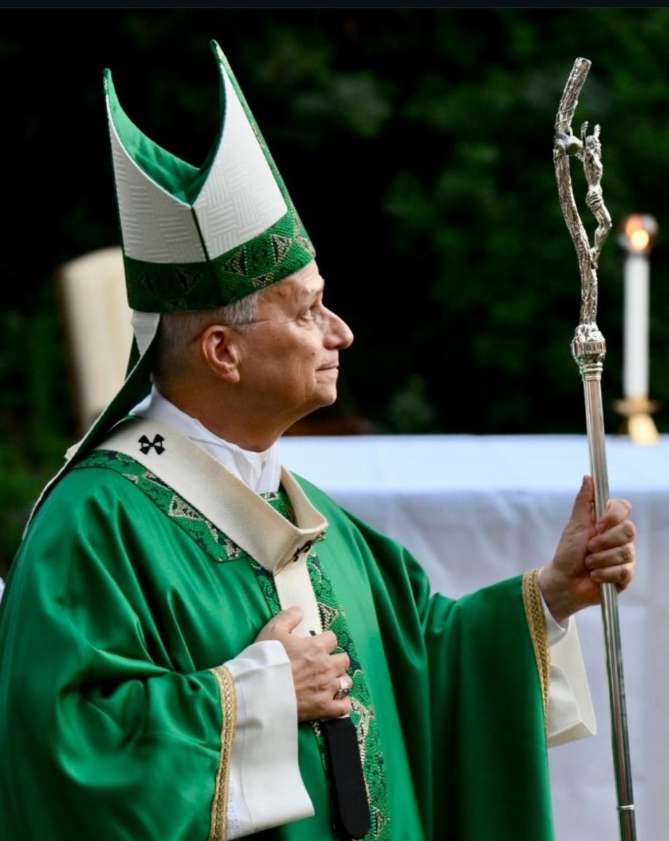 RichRaho's tweet photo. Pope Leo at Mass for Care of Creation: “Let us place in ‘silent mode’ the many noises generated by human activity, so that we may hear the melodious voice of creation, through which God, the Author of all things, speaks to us.” https://t.co/T7KlDhehoR https://t.co/llL3Ugc2kd