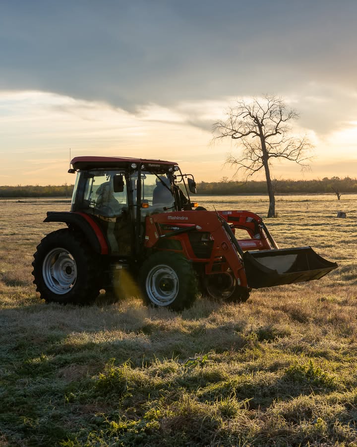 LithgowMotors's tweet photo. Sunrise is the perfect time to get a head start on the day's chores with a powerful Mahindra tractor and loader by your side. 

 Call us today at (217) 283-5171
.
.
.
#MahindraTough #MahindraTractors #TractorNation #ToughJobs #ExplorePage #NewBeginnings https://t.co/JbeI6wcUhH