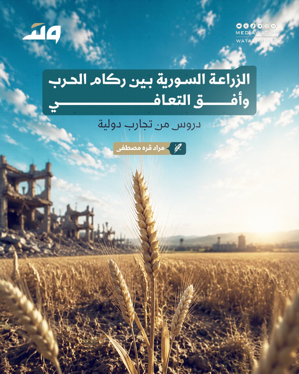 mediawatad's tweet photo. قبل 2011 كانت الزراعة تُطعم سوريا وتُصدّر فائضها، تُسهم بـ26% من الناتج المحلي وتُشغّل ربع العاملين؛ واليوم هوى إنتاج القمح إلى أدنى مستوياته منذ نصف قرن. لكنّ القاع محطةٌ يمكن تجاوزها؛ فمن تركيا إلى السعودية والصين، نهضت زراعاتٌ من ركامٍ مثله. فهل تنقص سوريا الأرضُ والماءُ والأيدي، أم القرار؟

للمزيد يمكنكم قراءة مقالنا "الزراعة السورية بين ركام الحرب وأفق التعافي: دروس من تجارب دولية" للباحث في الأمن الغذائي مراد قره مصطفى@MURAD_K_Mustafa عبر الرابط: 

https://t.co/3ymCm7gJEQ