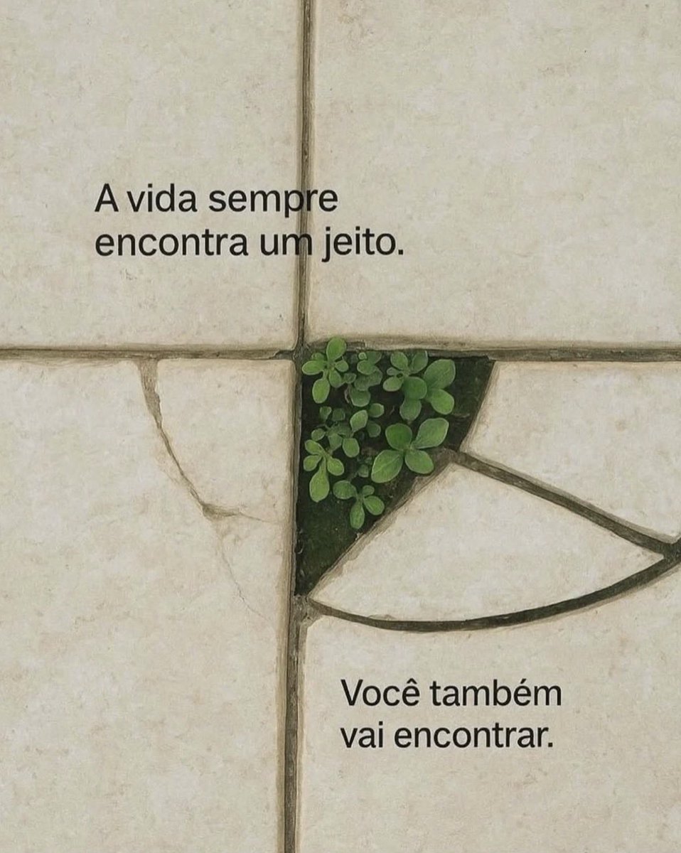 reescrevi_frase's tweet photo. https://t.co/7pOuhTvsTU