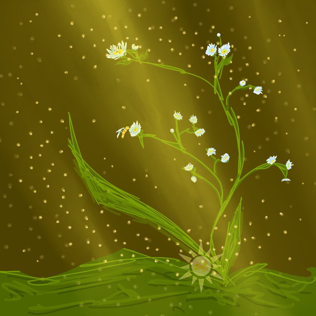 LvM_S7's tweet photo. #floral #nature #bio #art https://t.co/TXwooBHEgJ