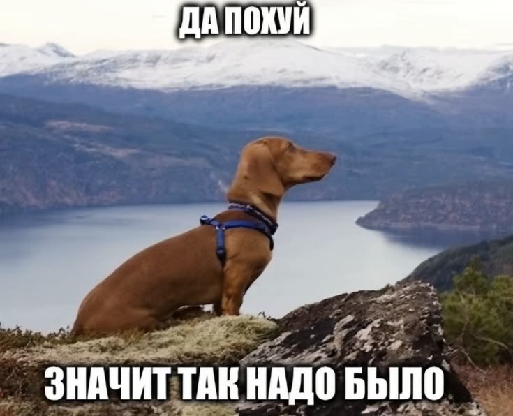 susalikk's tweet photo. first four pins opening pinterest

нарусасу канон https://t.co/kf1cu3YRbK
