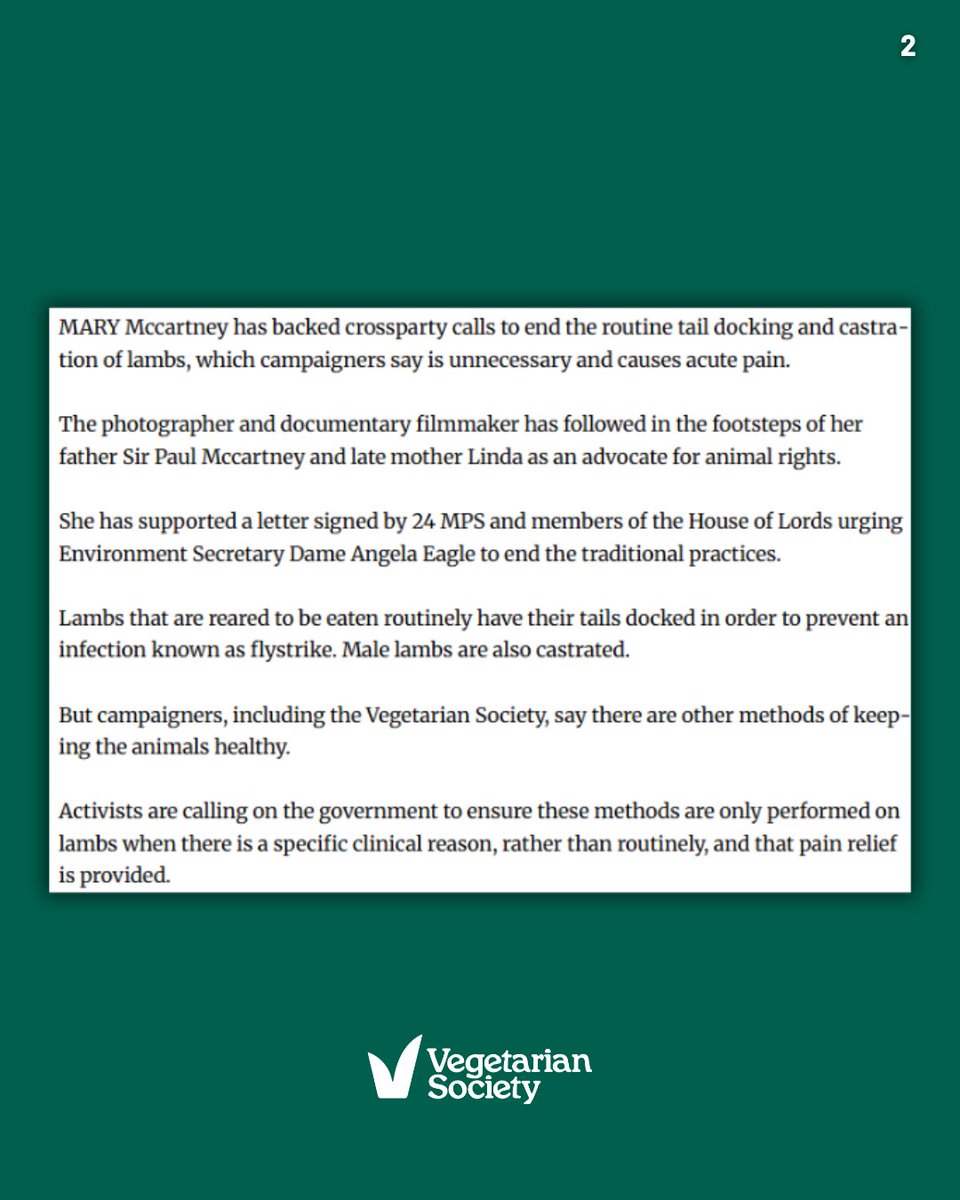 vegsoc's tweet photo. #LoveLambsWeek starts today. 🐑

Mary McCartney has joined MPs, peers and organisations in calling for an urgent end to the routine tail docking and castration of lambs.

We’re proud to launch this new campaign with exclusive coverage in the Daily Express, bringing attention to the cruel practices that lambs continue to face in the farming system.

Love Lambs Week is all about helping everyone see lambs as individuals, not products on a plate, and raising awareness of the pain and suffering these routine procedures cause.

A huge thank you to Mary McCartney, the MPs and peers who have backed our call, and @animal_equality, @ciwf, @fourpawsint, @humaneworlduk, @onekindtweet and @MoveTheWorldUK for standing with us and speaking up for lambs.

Now, we’re asking you to stand with us too.

Sign our petition to help end routine tail docking and castration of lambs.

Click the below to sign and add your voice: https://t.co/5icNNX9C7O 

#LoveLambs