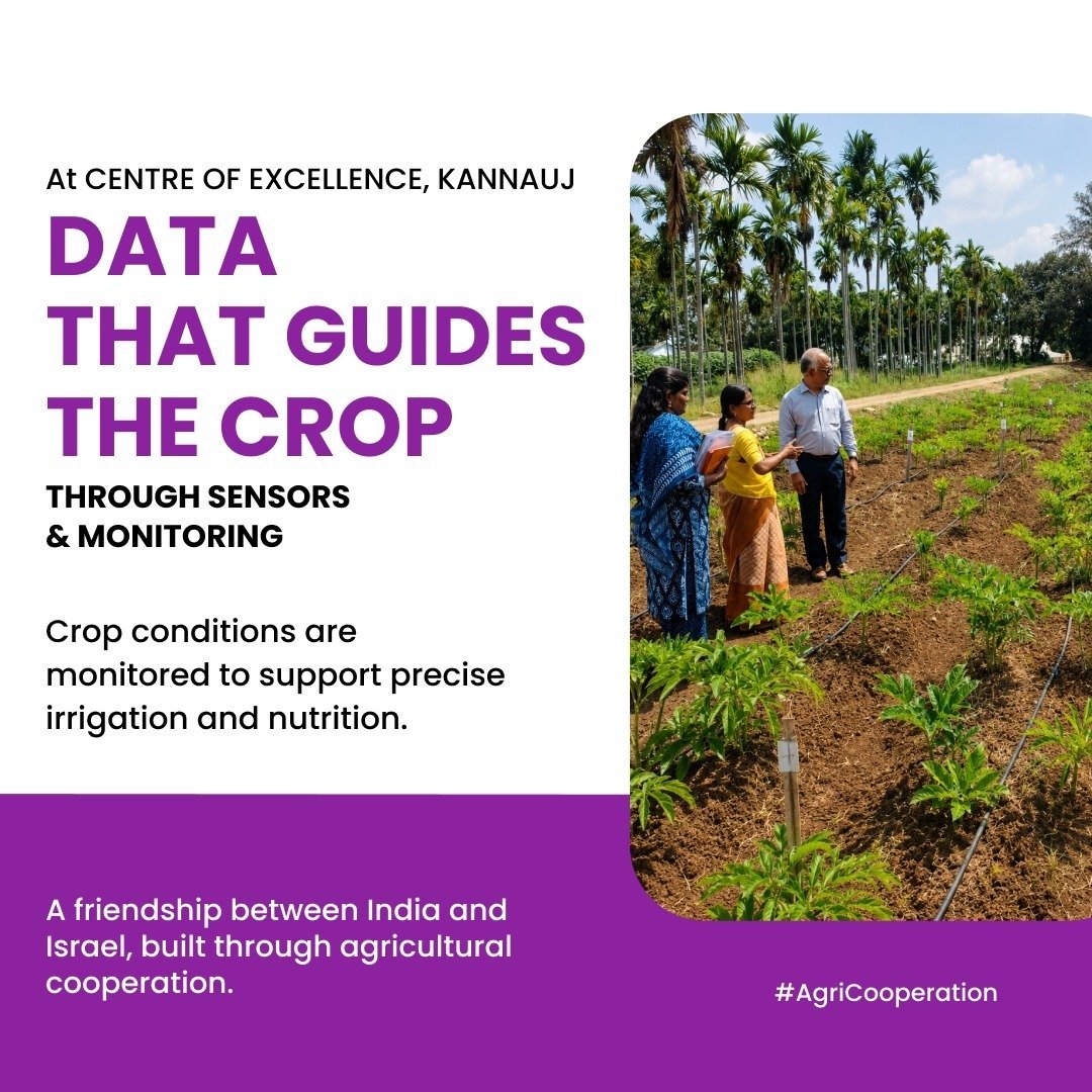 Brsharma_In's tweet photo. Data-driven agriculture is shaping a smarter, more sustainable future. 🌱
From sensors to real-time monitoring, technology is helping crops get exactly what they need.
India–Israel agricultural cooperation is turning innovation into impact on the ground. 🇮🇳🇮🇱
Better data, precise irrigation, stronger crops—and a more resilient farming ecosystem.
When knowledge meets technology, farmers grow with confidence. 🌾 #AgriCooperation