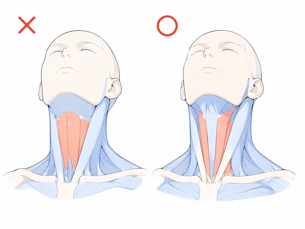 LumiCanvass's tweet photo. Your neck drawings feel off for one simple reason https://t.co/2yGl0sUXIb