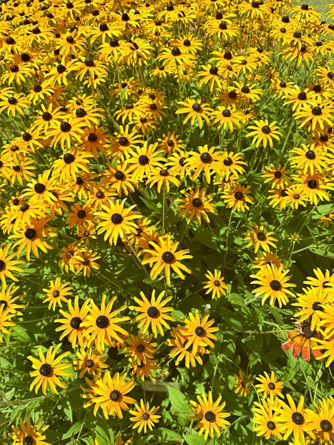 EmogeneHueyour's tweet photo. شكرا حياتي ممتن تبادلك. لإحداث تأثير إيجابي على ، يا أخي. أنا للتواصل والمعرفة المكتسبة من خلال li orangeأنا رؤيتك ، ❗ يا أخي. شكرًا لك. المحتوى بك يساعدني على شكرًا! أقدر الخاص النمو. naida cosper https://t.co/wMBHtyMrRP