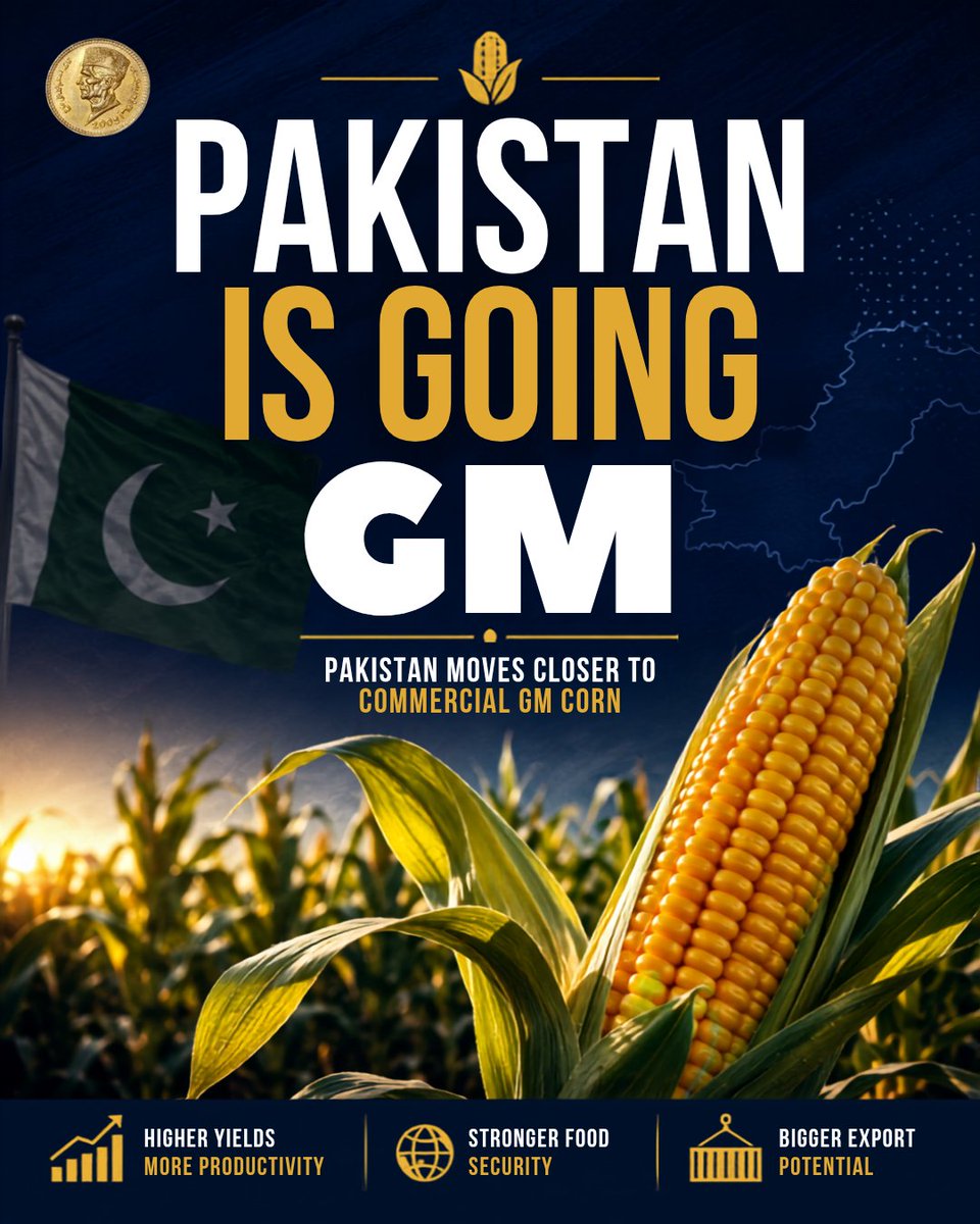 Paknomicss's tweet photo. 🌽 Pakistan is going GM.
Pakistan is moving closer to commercialising GM corn, a move that could reshape agricultural productivity, food security and export potential.
A big change for Pakistan’s agriculture.
#Pakistan #Agriculture #GMCorn https://t.co/M6N82Tfwhp