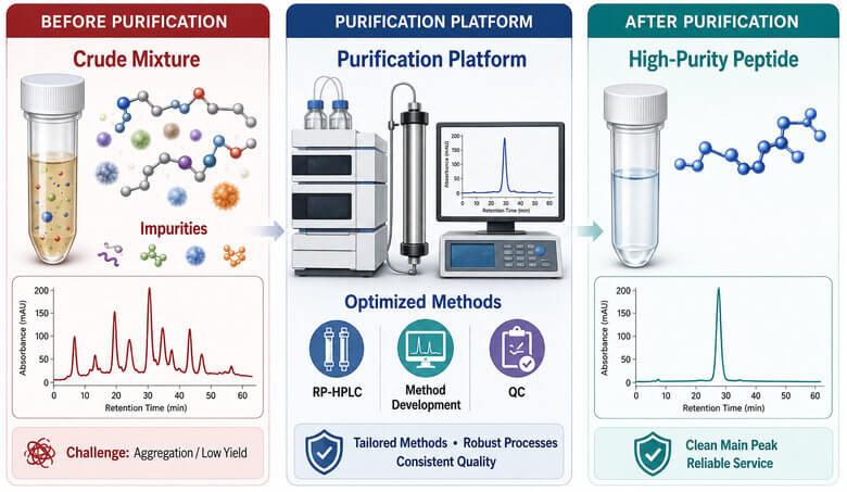 SaefkeWilliam's tweet photo. Reading a Peptide COA: 7 Things I Check Before Trusting the Purity
#Peptides #PeptideScience #HPLC #COA #Biotechnology #Research https://t.co/QWeNKZ9xT2
