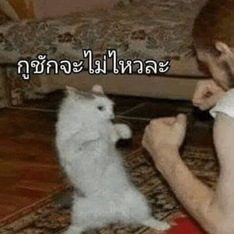 Medd2502's tweet photo. อ่ะ ลูกให้มา ก็ใช้เลยละกัน เอาเถอะ https://t.co/BJPNPjhT95