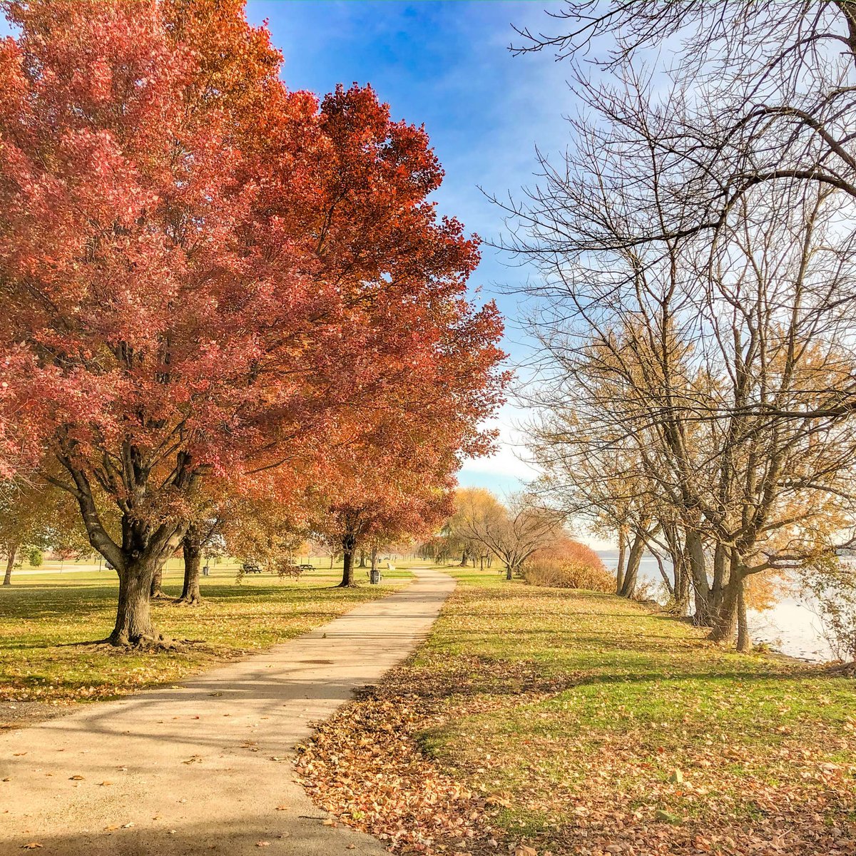 RiverfrontNorth's tweet photo. Happy September! Soon enough, the Greenway will look less green and more like a prime spot to do some leaf peeping... and find the crunchiest leaf to step on 🍂 https://t.co/LIkLHzGo45