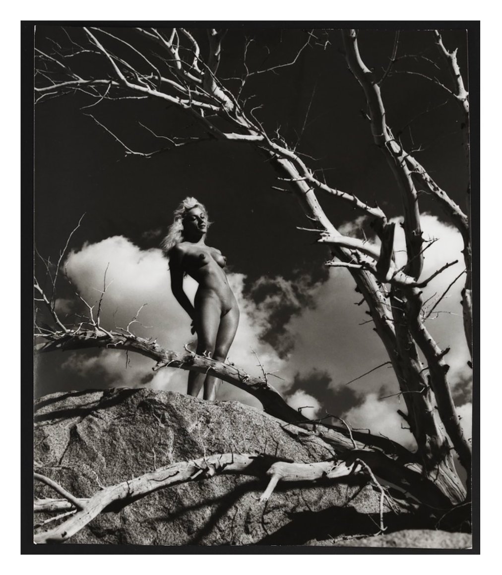 MarinFavre's tweet photo. .

    André de Dienes   1960

. https://t.co/EbjIuRnwrr