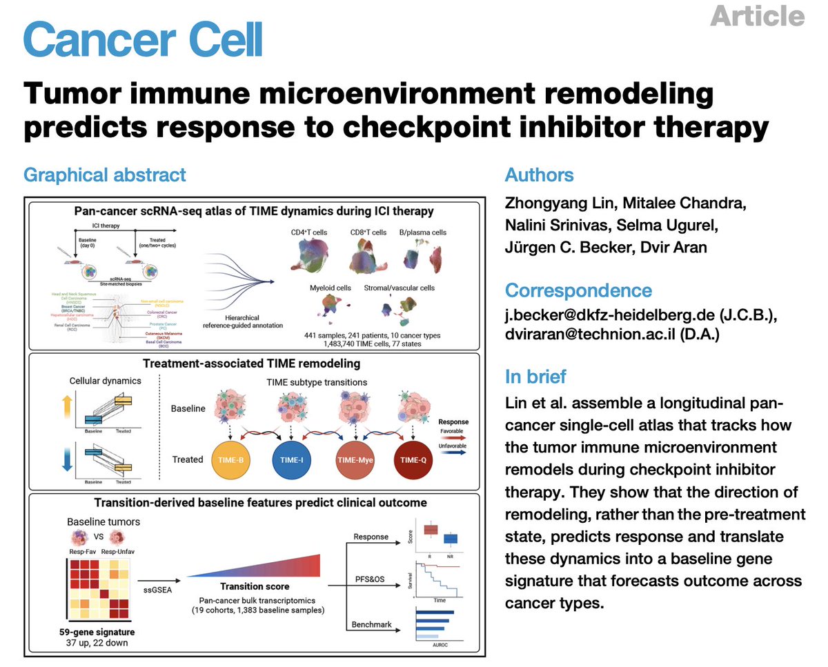 dvir_a's tweet photo. Our paper is out in @Cancer_Cell!
We started this project almost 5 years ago with the idea that to understand why some cancer patients respond to immunotherapy and others do not, we may need to look beyond the tumor before treatment. Immunotherapy is not just a test of a pre-existing state; it is a perturbation. It changes the tumor immune microenvironment.
So the question became: can the direction of that change explain response?
https://t.co/wHmh8tQ3Xx