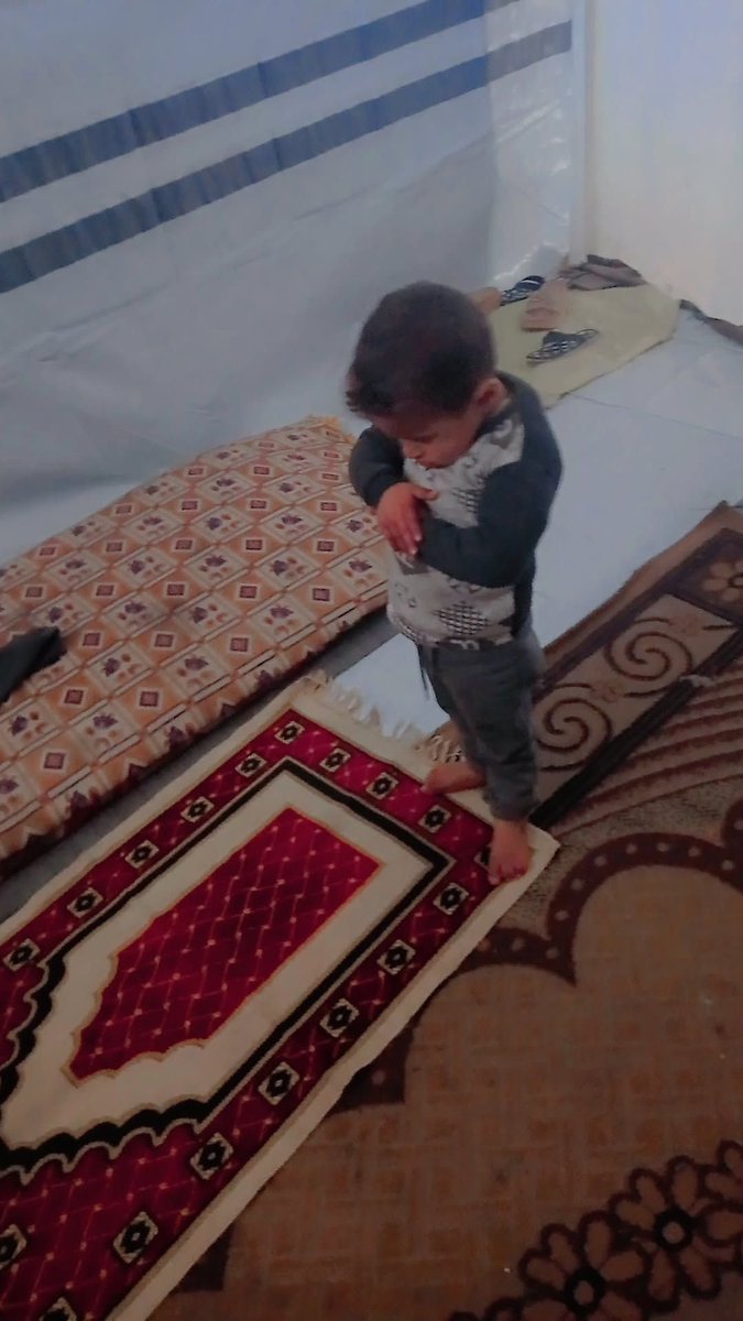 oliveegirl's tweet photo. One of the most beautiful families from Gaza that I follow is Saja's family @AserSewar2 

This is Saja's son Aser 🤍

Donate to them: https://t.co/KVNQPRqQEb

You have a responsibility to protect the most vulnerable in Gaza. https://t.co/wHJZDy3hH5