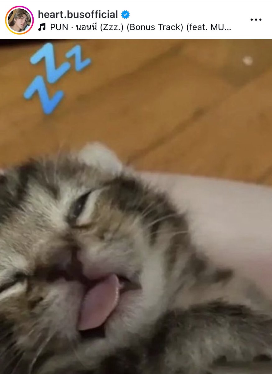 boobabyongl's tweet photo. คนนึงก็รีหมาเด็ก คนนึงก็ลงรูปแมว แปลว่าอายัยนิ้>< 🦮🐈 https://t.co/aSzNjQU0cM