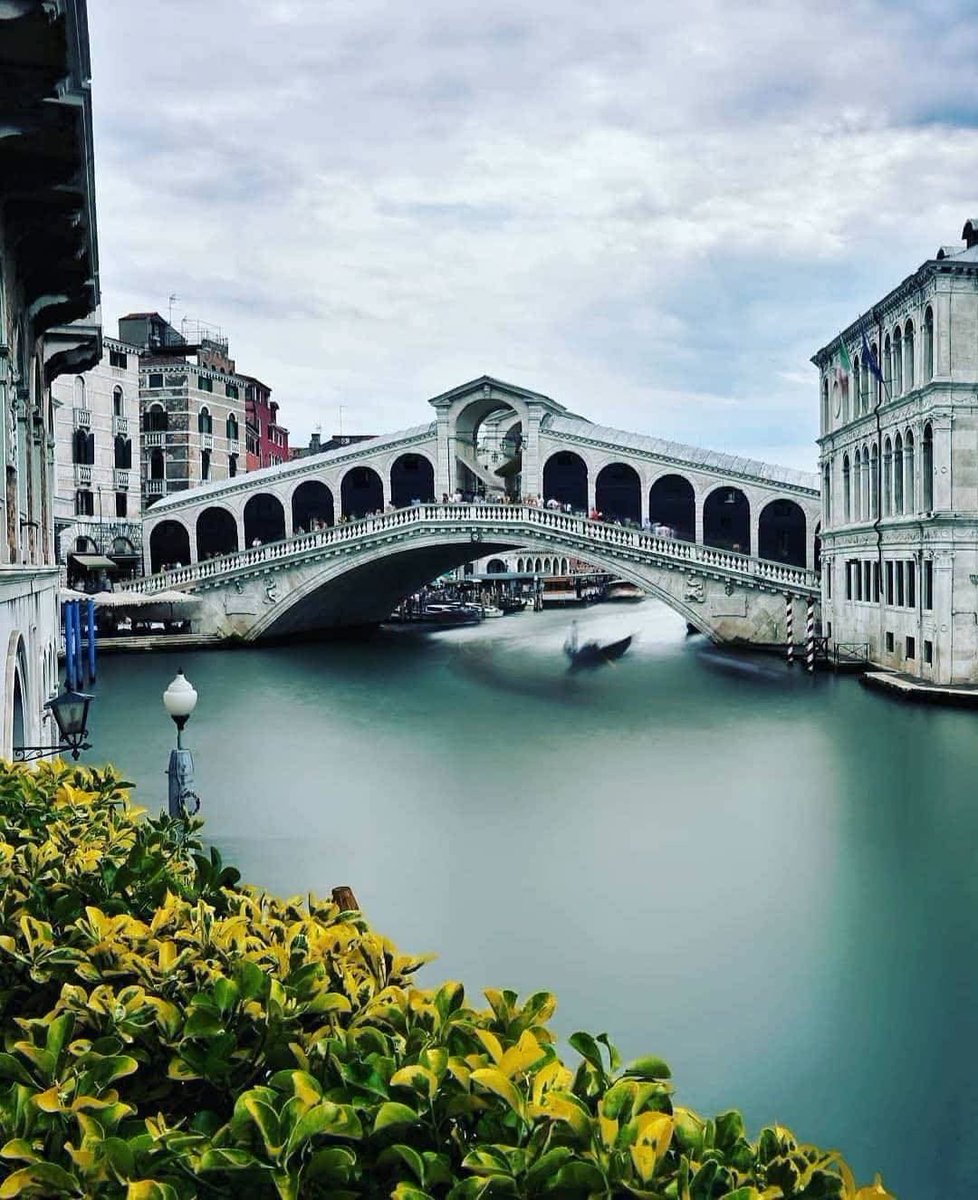 DNatives67667's tweet photo. Rialto Bridge, Venice😲 https://t.co/F587sAJpgu