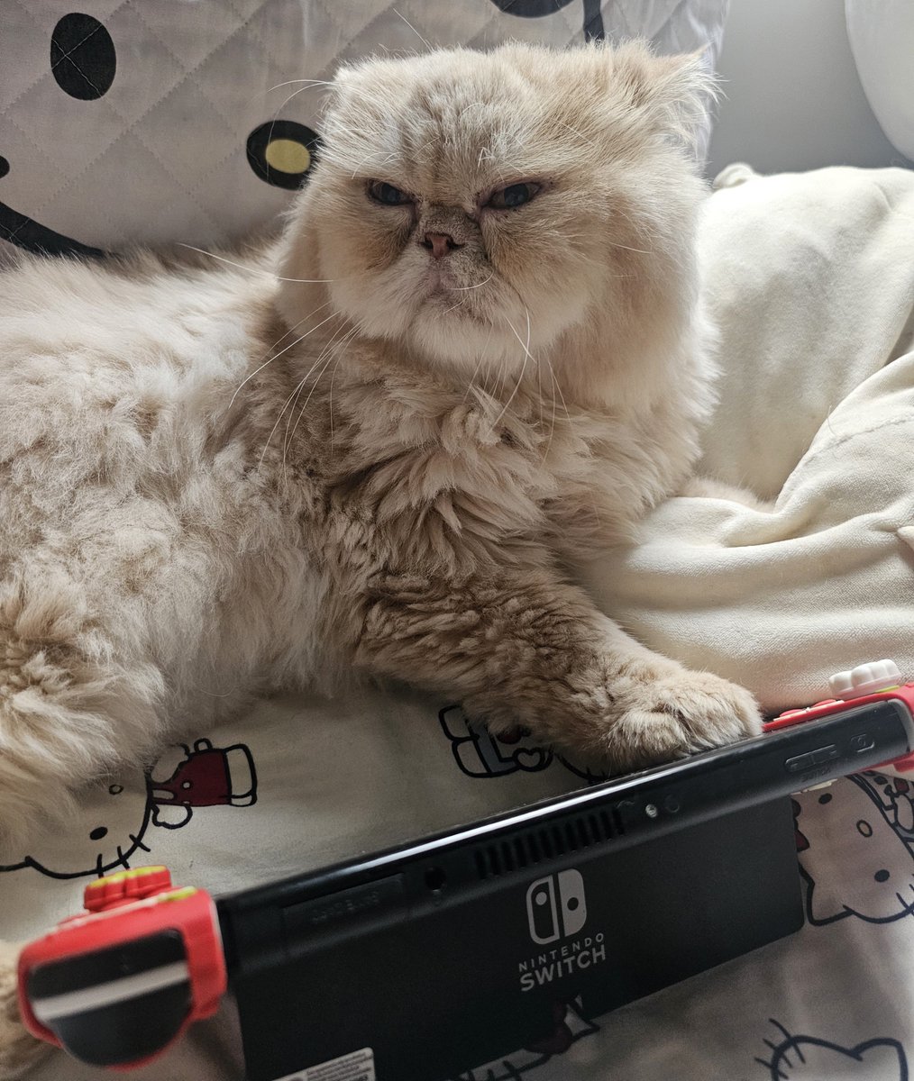 loves_yug's tweet photo. Pronto pra recomendar um jogo dps de jogar só 5min dele 🥰🥳 https://t.co/LLx2dgHZZh