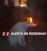 maismissao's tweet photo. Alerta de resenha, pessoal!

#NasRuasPorRenan14 https://t.co/12dYOlTR8V