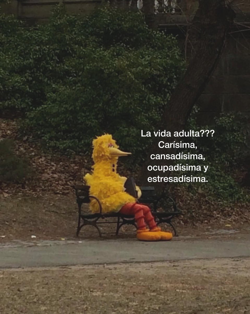 escritosvibrax's tweet photo. https://t.co/jSZeQ7XGJW