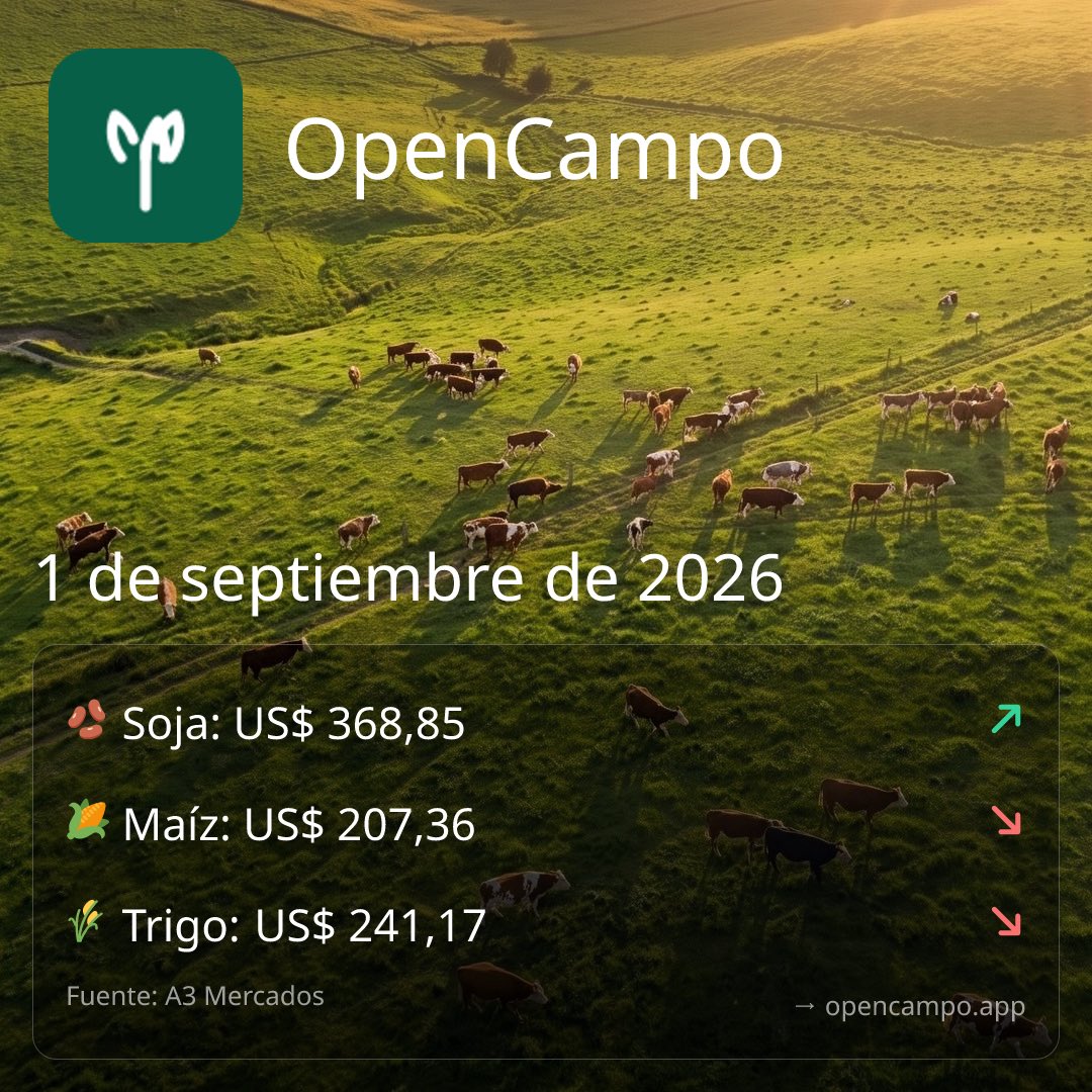 OpenCampo's tweet photo. Soja US$368,85/t · Maíz US$207,36/t · Trigo US$241,17/t (A3, cierre 31/08). La brecha soja-maíz de ~US$161/t sigue marcando el pulso de la campaña gruesa 2026/27. Faena vacuna en alza: 1.095.548 cab. en julio, máximo de 5 meses. #Agro #ganaderia #campo https://t.co/xZ0LEx9NpX