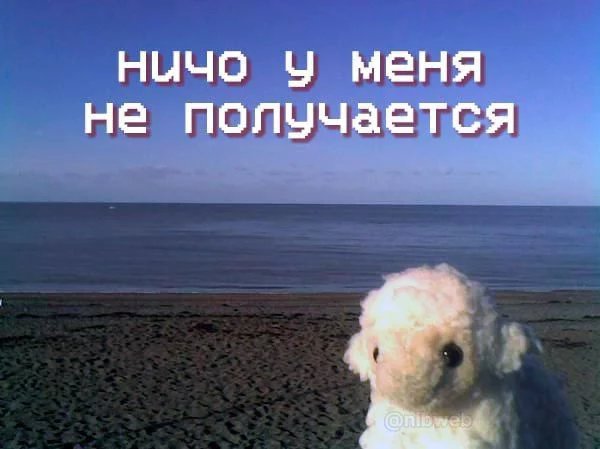 nekolimss's tweet photo. поч у всех вайб твит и даже инфо есть, а я пустышка https://t.co/owZEqP6bmX