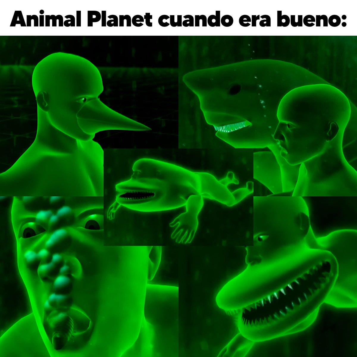 Mantequilla90's tweet photo. https://t.co/lYG7LIRcck