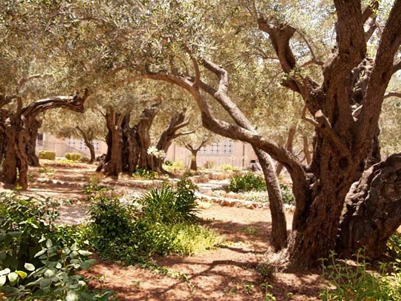 lechochretien's tweet photo. 🔴✝️ 𝗔𝗟𝗘𝗥𝗧𝗘 — Des FOUILLES sous la basilique du Saint-Sépulcre à Jérusalem apportent de nouvelles PREUVES que le lieu était autrefois un paysage mêlant tombes et espaces cultivés, CORRESPONDANT à la DESCRIPTION de l’Évangile selon saint Jean du lieu de la sépulture de Jésus-Christ. 

(Source : Fox News)