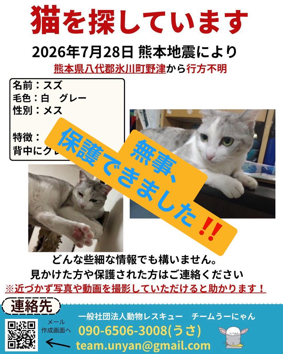 ____Usa's tweet photo. 【スズちゃん、無事に保護できました‼️】

たった今、スズちゃんが無事に保護できたと、うささんから連絡が入りました🎉

近くまで来ているのに、捕獲器に全然興味を示さなかったスズちゃん。

そこでご家族にお願いをして、お部屋の窓を少し開け、中にごはんを置いてもらったところ、スズちゃんが自らお部屋の中に入ってきてくれました‼️

スズちゃんがいつ部屋に入ってくるか分からないので、ずっと見��ってもらい、中に入ったのを確認したら、すぐに外から窓を閉めて貰い、保護することができました✨

スズちゃん、お帰りなさい🍀

byチームうーにゃん