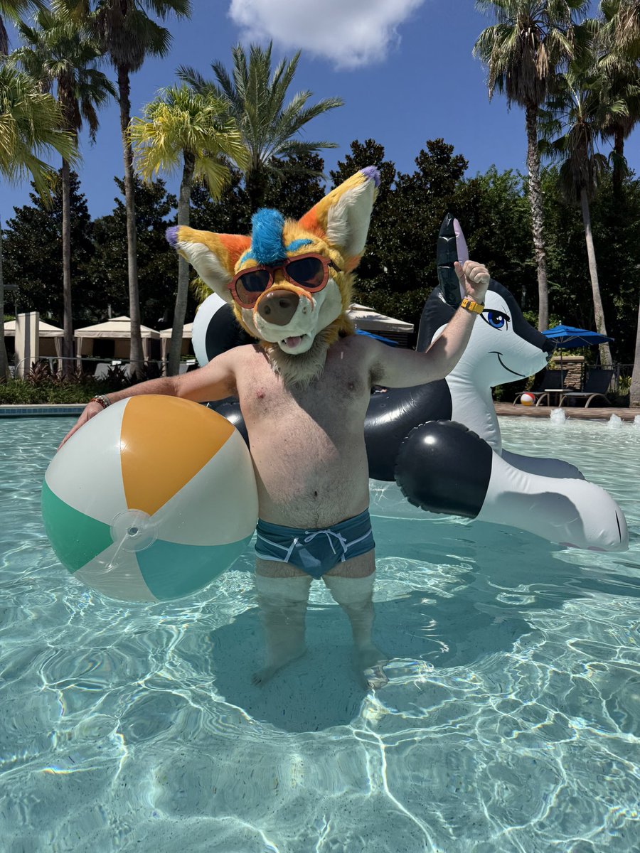 Kodey_Yotey's tweet photo. OwO what’s this?  Some more Megaplex pool photos just in time for #TummyTuesday 🐺💦🏝️

📸: @JakeWerePanther https://t.co/9vKs8lNikC