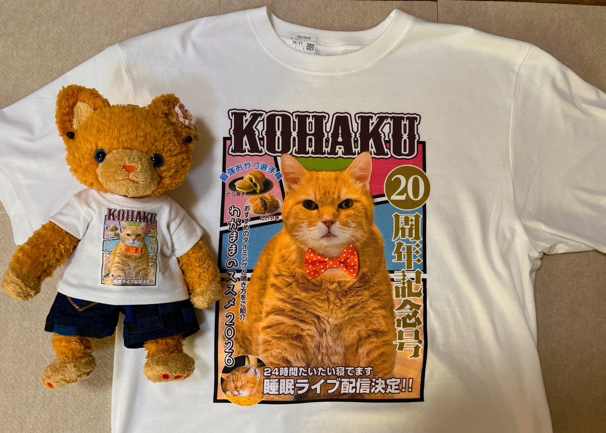 saki28nyan's tweet photo. 9月1日
20歳の琥珀になりました

成人式
大好きなあんこ🫘と鶴🐢で和装琥珀

めざせ21歳その先も
良かったら皆のパワー🧡ください😘

#日本動物愛護協会 様から
長寿表彰状もいただきました！
家族写真用に記念Tシャツも作っちゃいました🤭

#ハイシニア猫
#茶トラ猫感謝の日
#今日も可愛い琥珀ちゃん https://t.co/ehxONHUf2g
