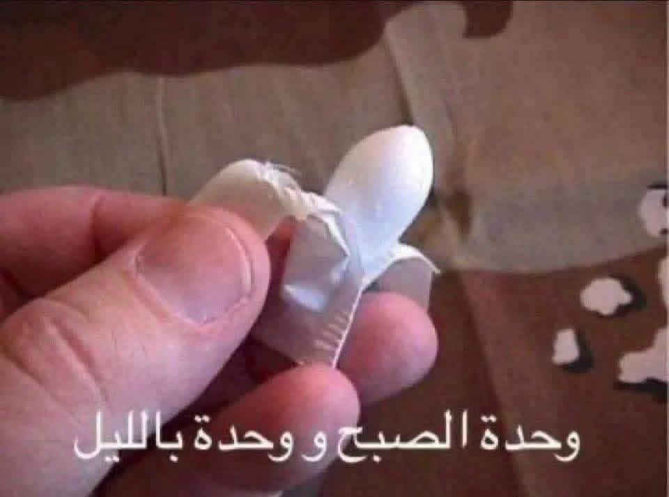 Dani70217's tweet photo. @CarlaHayek2 وحده الصبح ووحده بالليل يا شرموطه https://t.co/zgxpxGiFTa