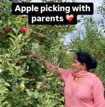 shalimar_street's tweet photo. A gentle reminder to community members this weekend: be sure to pay for your purchase after a day of fun at a Canadian “pick- your-own” farm.  #Shalimar #budgetsavvychoice #ProtectOntario #staycationgoals https://t.co/X4Lftkozuc