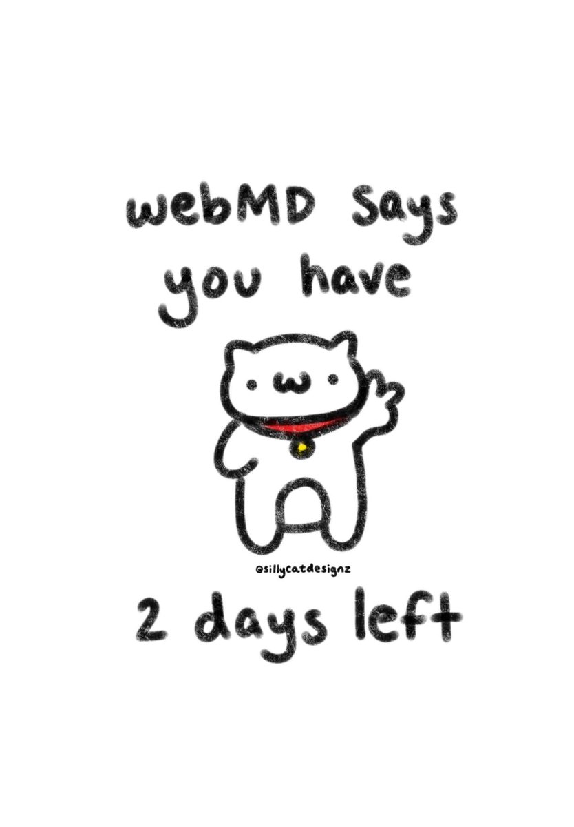 sillycatdesignz's tweet photo. don't worry he's a professional https://t.co/474WXMPzHR