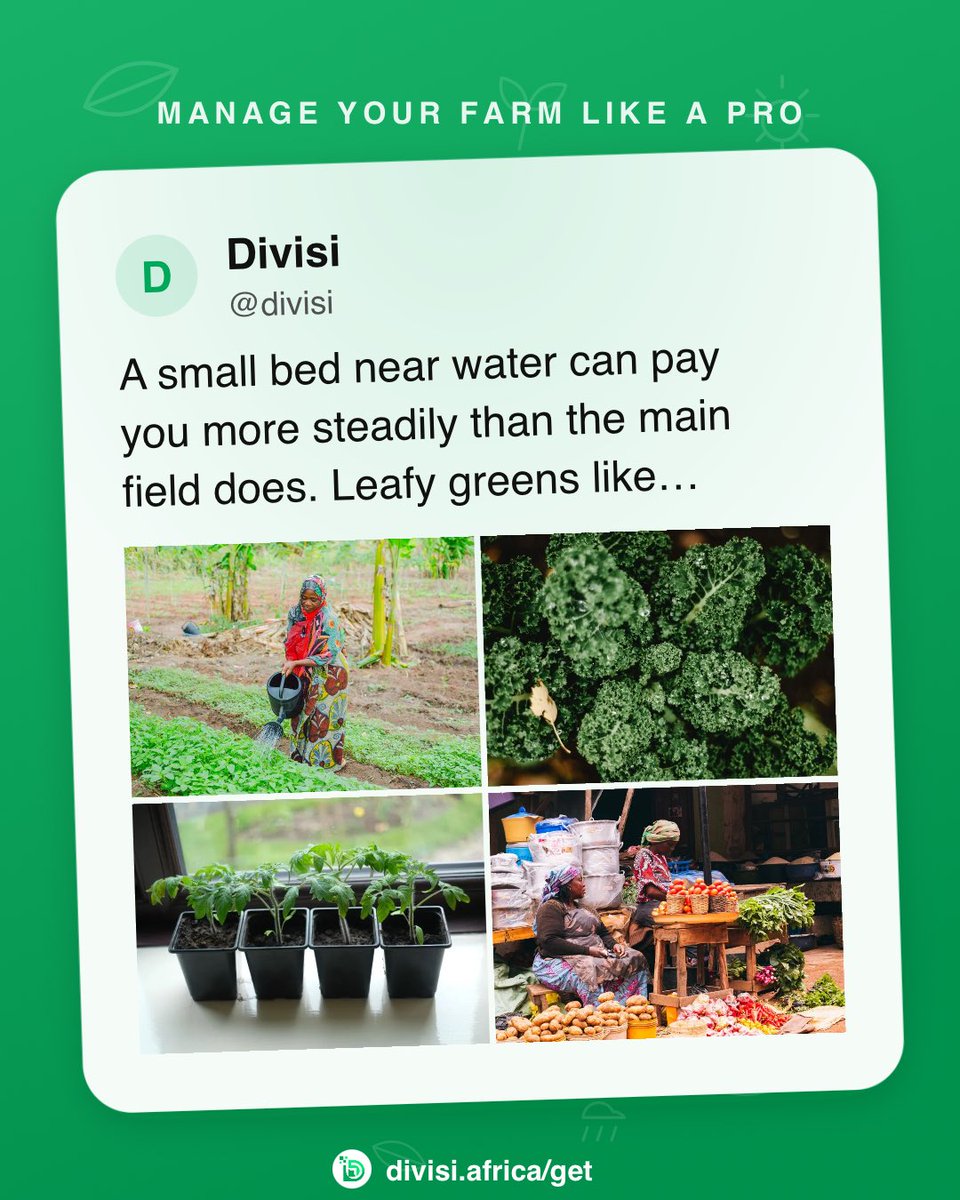isaac_tich's tweet photo. From the fields today.
Divisi — manage your farm like a Pro.
https://t.co/bFz9xGlMYW https://t.co/Zn6y4hHC4W