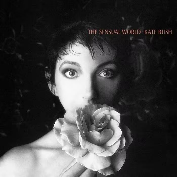kulomiii_'s tweet photo. MDS a capa alternativa fazendo referência ao the sensual world da kate Bush https://t.co/9swc0HThia