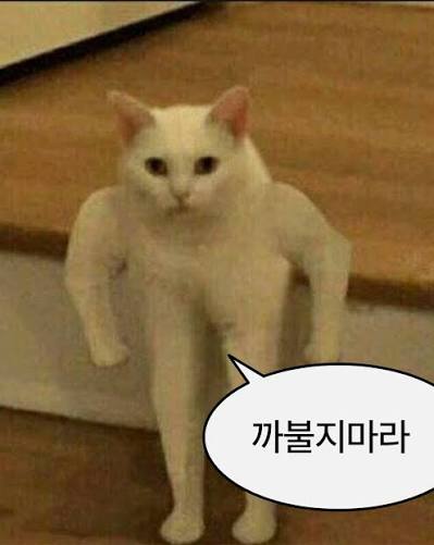 _Iam_dino_'s tweet photo. #트친소 #우울계_𝕏친소 #정병계_𝕏친소 #오타쿠_𝕏친소 #잡덕_𝕏친소 #일상계_𝕏친소 #발로란트트친소 #게임트친소 #일상트친소 이번에는 다양하고 크게 열어봅니당 누구든지 어떤 장르든간에 환영하니깐 다 와주세용 게임도 같이 많이해여 흔적 보이면 찾아갑니당 (트친들은 의리 인알해조ㅎㅎ) https://t.co/LV9zWoMcR2