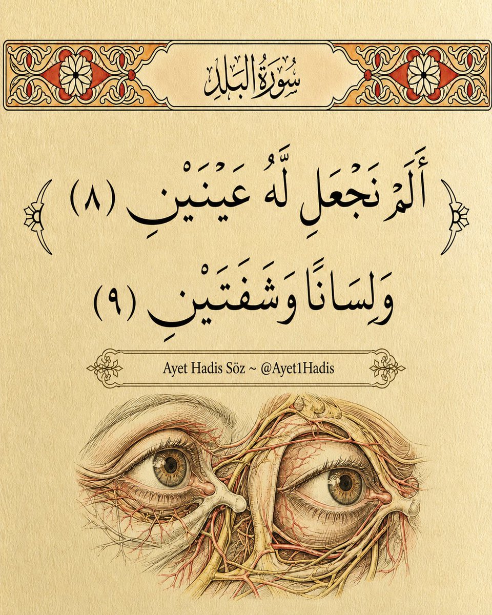 Ayet1Hadis's tweet photo. “Ona iki göz, bir dil, iki dudak vermedik mi?”

🔸Beled Sûresi, 8-9 https://t.co/ATB2zpJfes