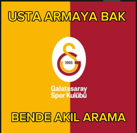 Luceyrax's tweet photo. @Tiginmb @backosaa https://t.co/Q4Fz6BXt8Y