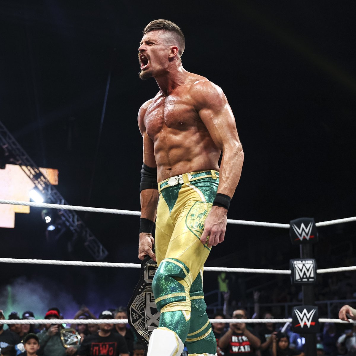 Sarray Nxt The top of NXT looks a little different after Sunday. What will be the ...