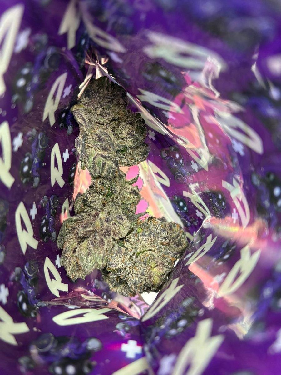 JeffreyBor11672's tweet photo. Iโm mobile rn
Mobile with it all day
#weedtwt #drugtwt #shroomtwt
Who need some weed,wax,cart,vape and other stuff #dmvfreaks #dmvweed #dmvtops #dcfreaks
HMU ๐ค https://t.co/yw713FxKfY