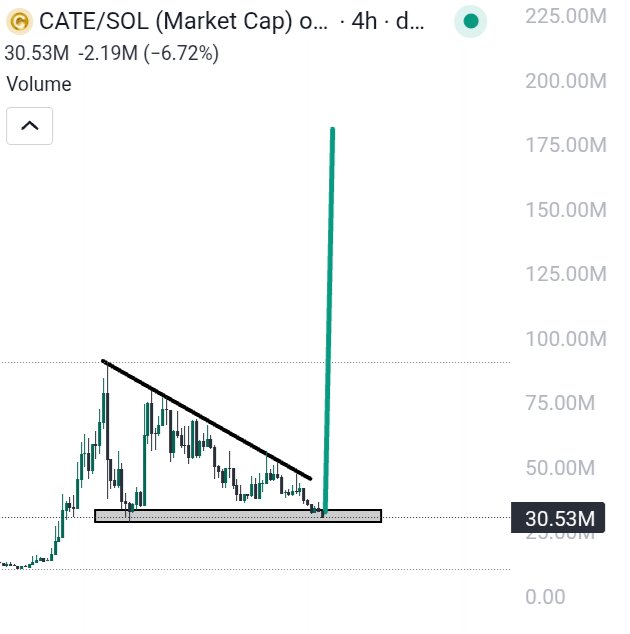 RektPaws's tweet photo. $CATE

just imagine this actually happening

we’ve been watching this setup build for a while now and if that breakout comes, the timeline is gonna lose it

one big candle and suddenly everyone becomes a $CATE believer 

I’m bullish on the cat

let’s see it fucking send https://t.co/zk1lZYEpIv