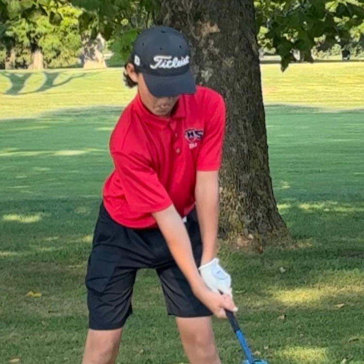 TriadHighSchool's tweet photo. Golfers in action at Belk Park. https://t.co/vdbJ0jKRk8