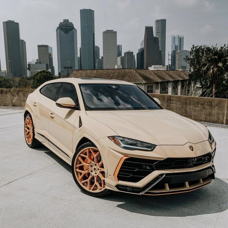 200redbig's tweet photo. Custom bronze wheels, matching accents, and an aggressive stance built to own the concrete jungle. 🔥🏎️ https://t.co/oaduk8p65J